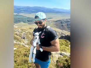Baby goat saved in Snowdonia