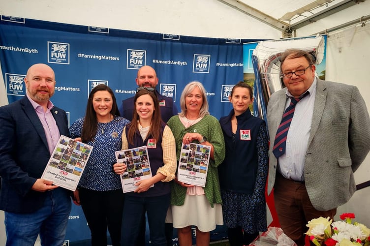 Meirionnydd show