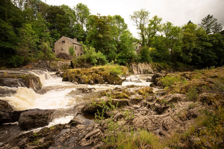 Cenarth falls