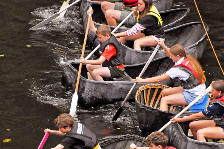 Junior handlers set off in the novice race