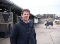 Aber scientists study stress in horses