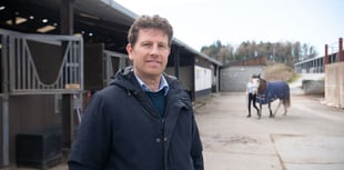 Aber scientists study stress in horses