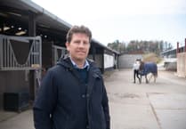 Aber scientists study stress in horses