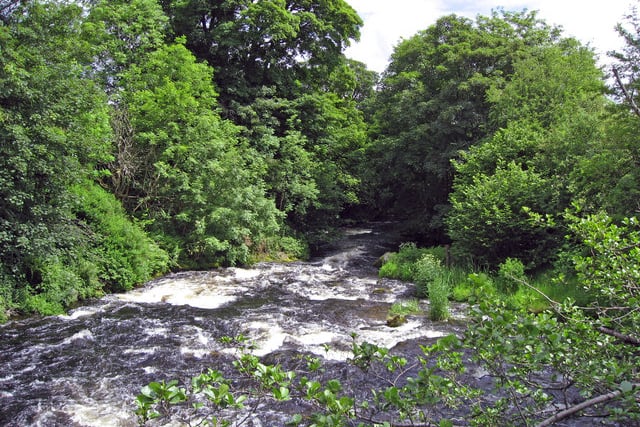£716 fine for illegal river fishing