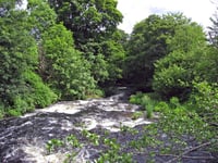 £716 fine for illegal river fishing
