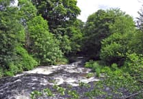 £716 fine for illegal river fishing