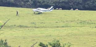 Plane takes off from field dubbed 'Bow Street airport'