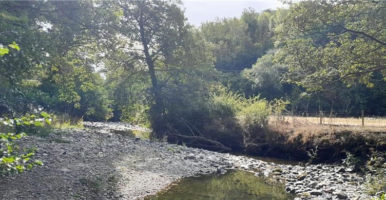 Drought status has been declared across Gwynedd. Photo: Natural Resources Wales