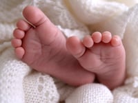 Fertility rate rises in Ceredigion