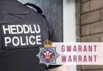 Man arrested after police raid discovers cannabis farm in Pentregat