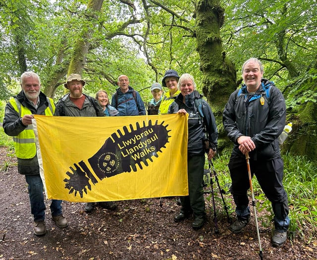 Walking festival returns to Teifi Valley 