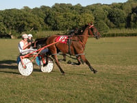 Evening harness racing thrills at Wales and Border Championship
