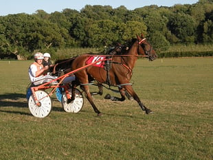 Evening harness racing thrills at Wales and Border Championship