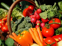 Regional food system urgently needed in mid Wales, report finds