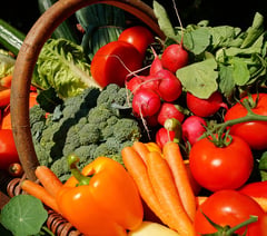 Regional food system urgently needed in mid Wales, report finds