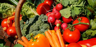Regional food system urgently needed in mid Wales, report finds