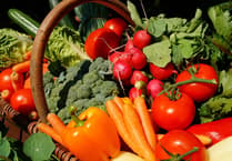 Regional food system urgently needed in mid Wales, report finds