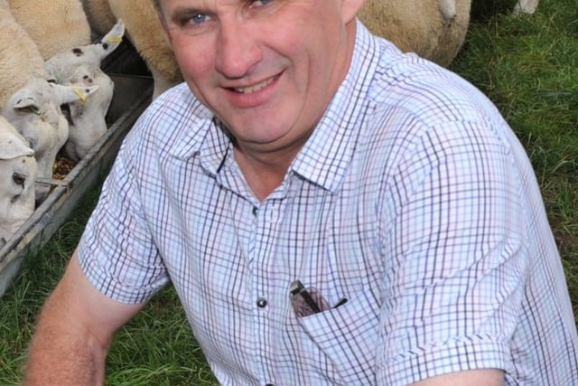 NFU Cymru opposes lamb castration rule change proposal