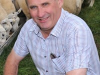 NFU Cymru opposes lamb castration rule change proposal