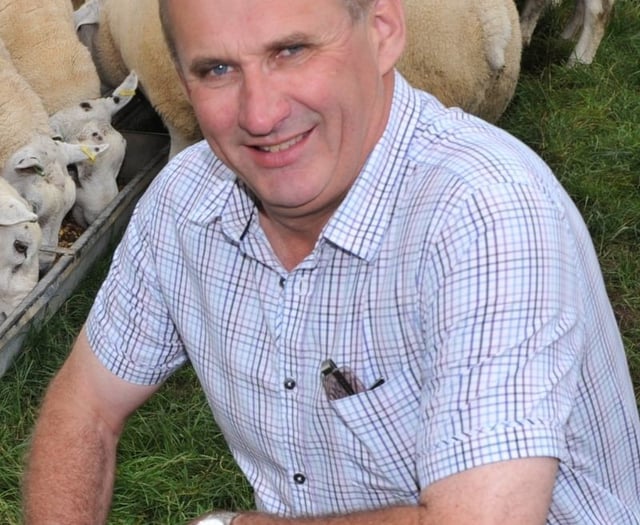 NFU Cymru opposes lamb castration rule change proposal