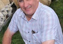 NFU Cymru opposes Welsh Government's lamb castration rule change proposal