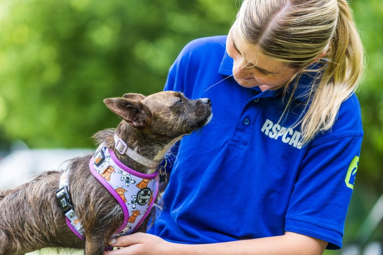 RSPCA