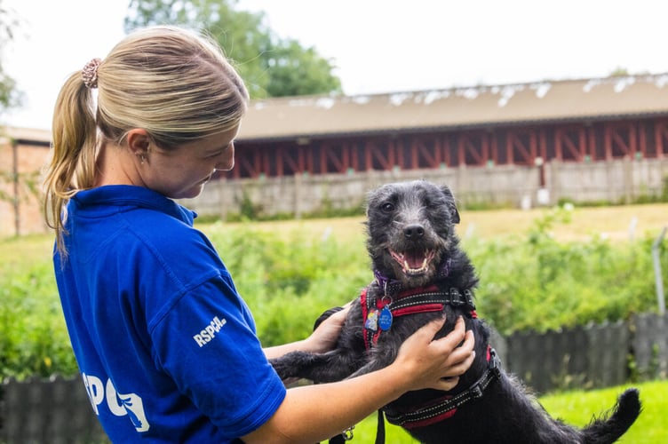One-eyed wonder Billy is a one-year-old Patterdale Terrier cross, who is full of personality.