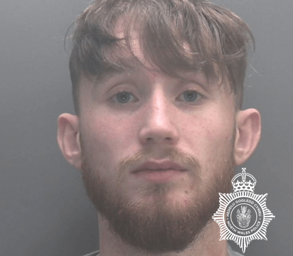 Gwynedd man jailed for abuse