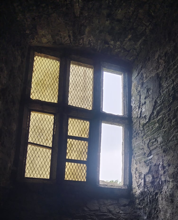 Neath Abbey window