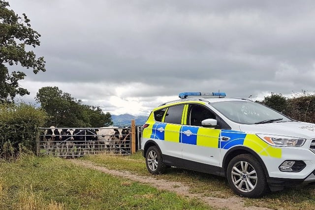 The rising threat of rural crime to Welsh farmers