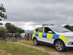 The rising threat of rural crime to Welsh farmers