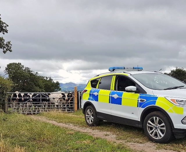 The rising threat of rural crime to Welsh farmers