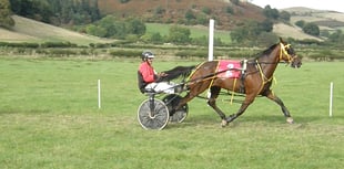New Radnor thrills with exciting harness racing victories