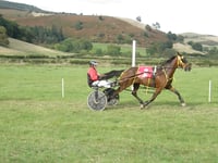 New Radnor thrills with exciting harness racing victories