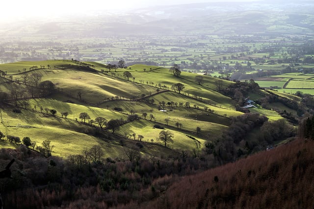 FUW to host Sustainable Farming Scheme roadshow 