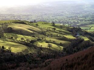 FUW to host Sustainable Farming Scheme roadshow 