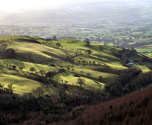 FUW to host Sustainable Farming Scheme roadshow 