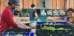 Pop-up farmers market with live music coming to Cardigan