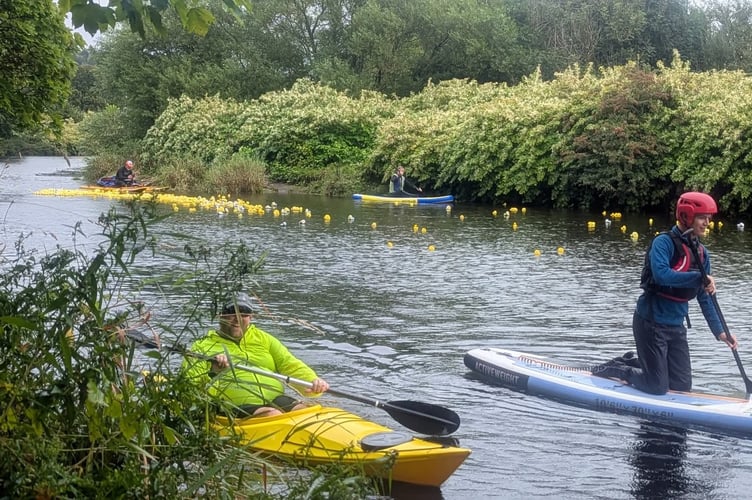 Over 1,000 ducks were released