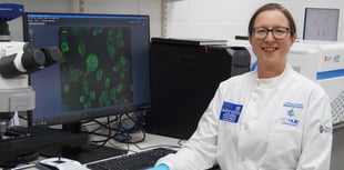 Cattle vaccine immunity ‘boost’ tested by new research
