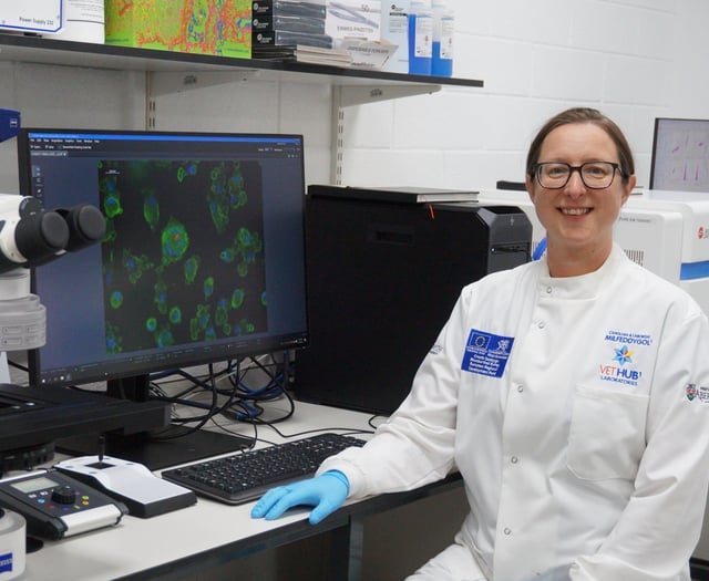 Cattle vaccine immunity ‘boost’ tested by new research