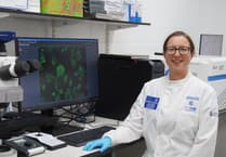 Cattle vaccine immunity ‘boost’ tested by new research