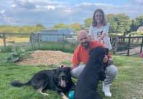 Ceredigion animal sanctuary opens to children and adults with additional needs