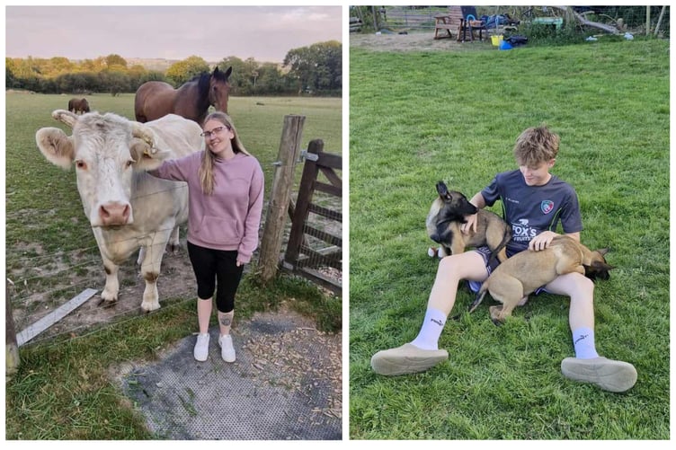 A family with Dennis the cow and some foster puppies. Photo: Second Chances Animal Sanctuary