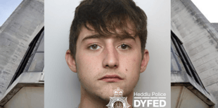 Talsarn man jailed for rape at drug and booze filled party