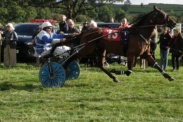 Open ht1 winner Sealofapproval