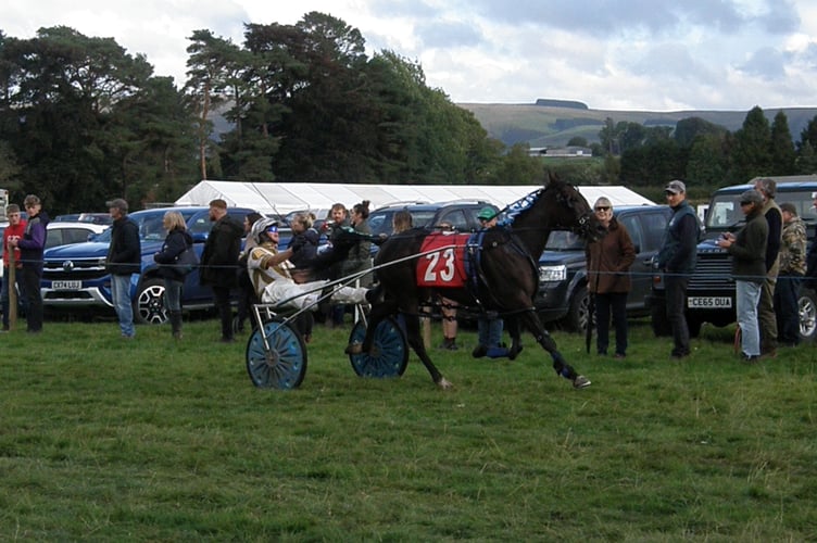 Baby Novice winner Morris Dancer