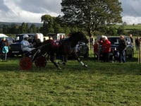 Beulah races thrill crowds at Wales & Border Counties event