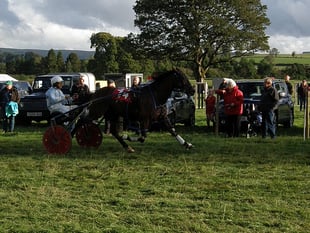 Beulah races thrill crowds at Wales & Border Counties event