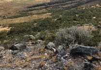 Study of glaciers in the Andes sheds light on future climate impact